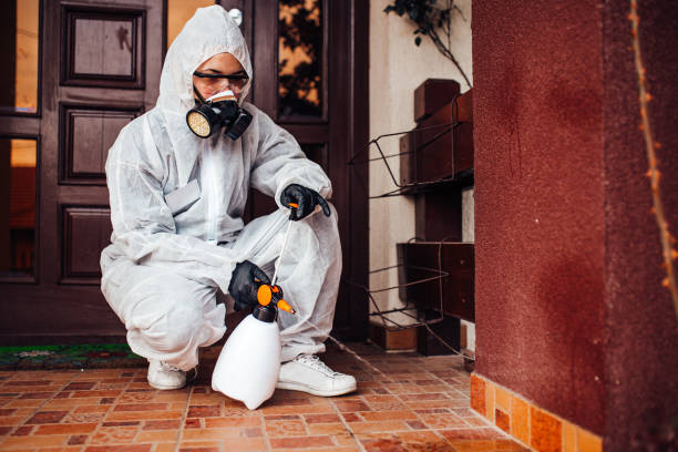 Multi-Unit and Airbnb Bed Bug Protocol in Sherrill