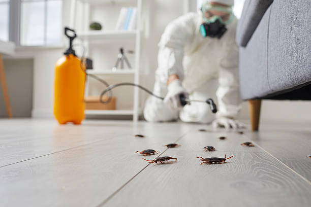 Post-Treatment Bed Bug Interceptor Monitoring in Sherrill