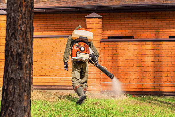 Bed Bug Clearance Verification and Documentation in Sherrill